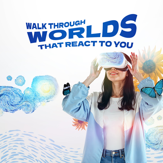 Real-Virtual Symbiosis Space